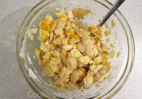 Almond Orange Florentines Almond Orange Florentines