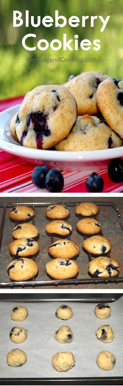 Blueberry Cookies