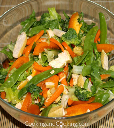 Chicken and Vegetable Salad