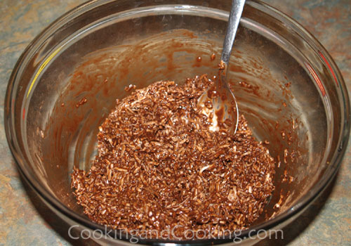 Chocolate Coconut Macaroons