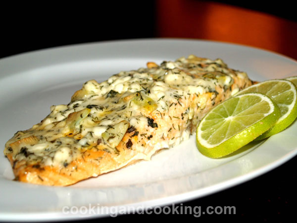 Salmon Fish with Cottage Cheese