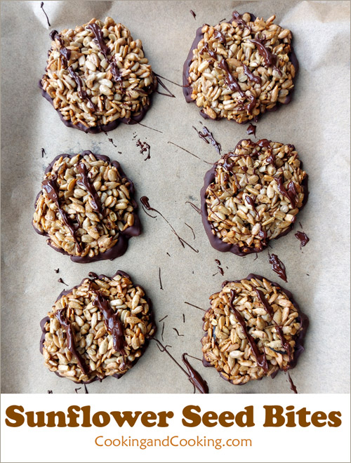 Sunflower Seed Chocolate Bites Sunflower Seed Chocolate Bites
