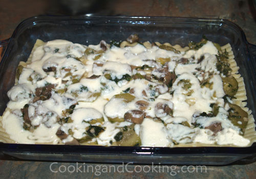 Vegetarian Lasagna Vegetarian Lasagna