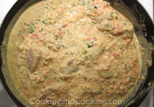 Yogurt and Masala Chicken Stew Yogurt and Masala Chicken Stew