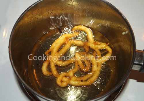 Zoolbia Zoolbia