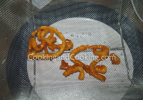 Zoolbia Zoolbia